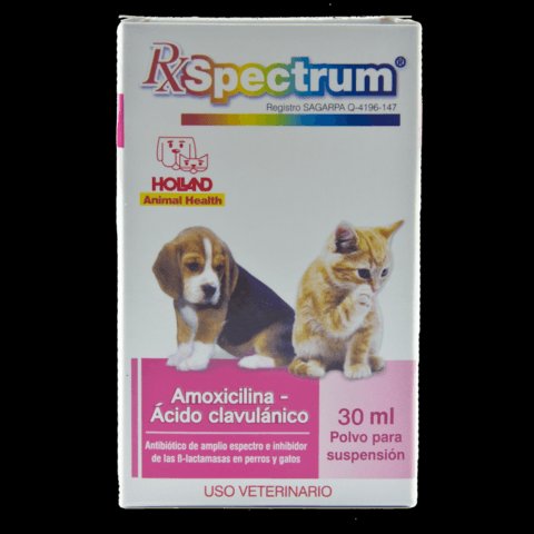 Caja de Spectrum Holland amoxicilina con ácido clavulánico 30 ml, vista frontal con ilustración de perro y gato $$$$$$$$$$$$$