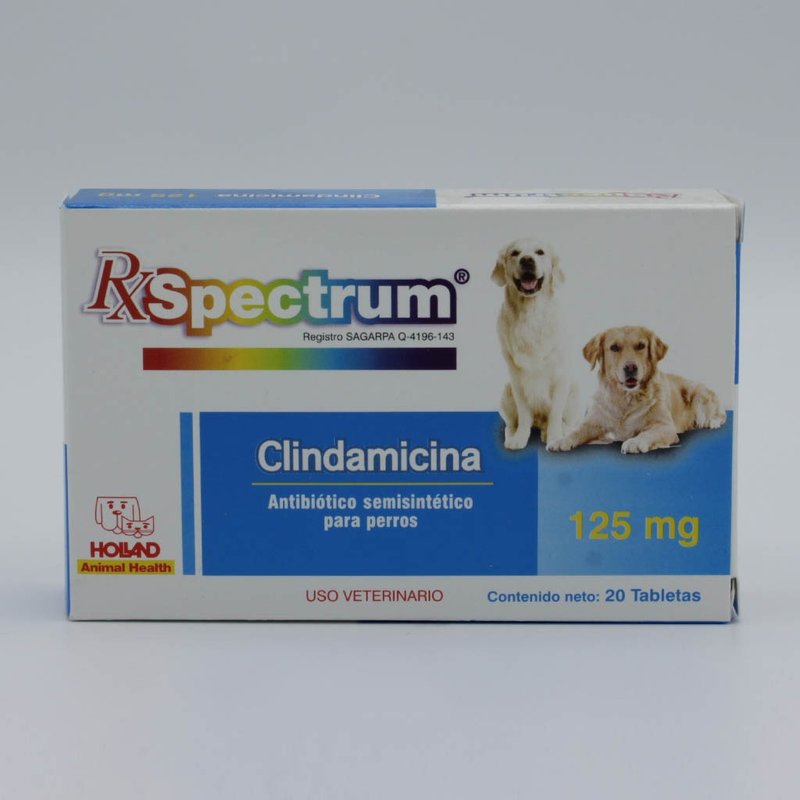 Caja de Spectrum Clindamicina 125 mg de Holland con 20 tabletas, vista frontal con dos perros labradores impresos