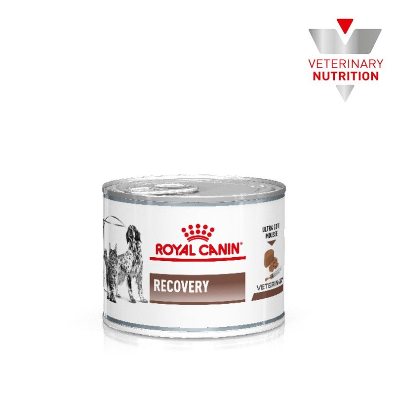 Recovery Canine/Feline Lata 150 gr. ROYAL CANIN