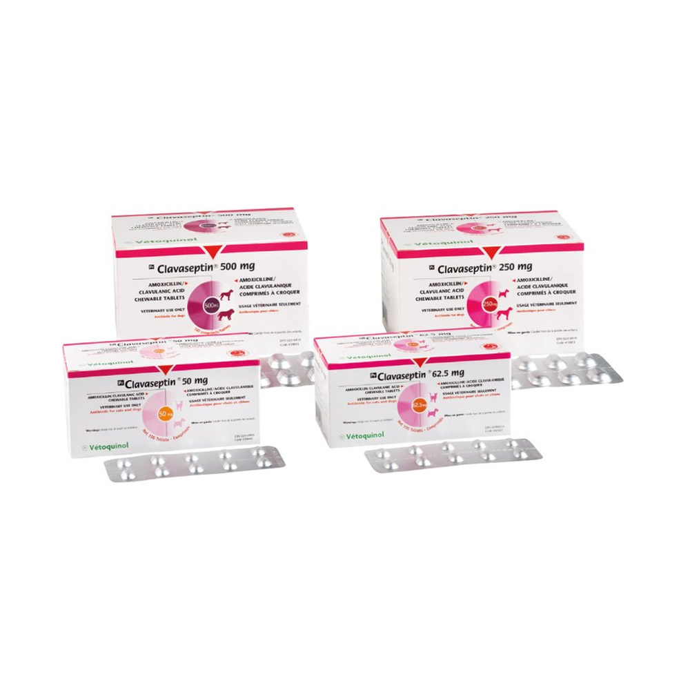 Clavaseptin 250 mg Blister con 10 tabs. VETOQUINOL