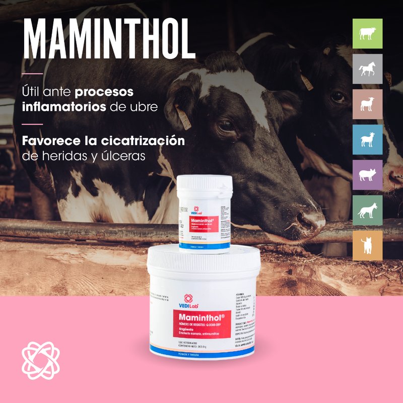 Maminthol 200 gr VEDILAB