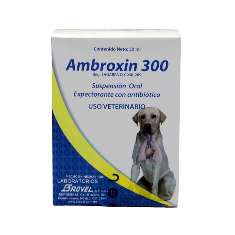 Ambroxin 300 Suspensión Oral 50 ml. DECHRA BROVEL — BRO254