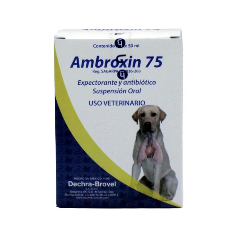 Ambroxin 75 Suspensión Oral 50 ml. DECHRA BROVEL — BRO012