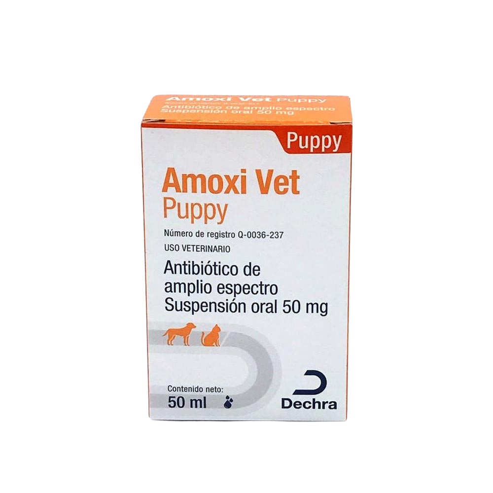 Amoxi Vet Puppy 50 mg. Suspensión Oral 50 ml. DECHRA BROVEL — BRO241